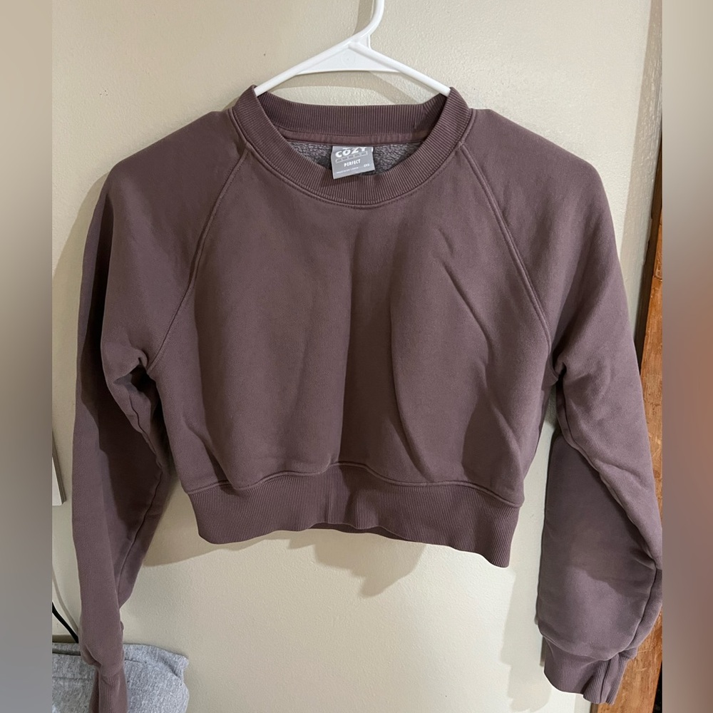 Aritzia Cute cropped sweatshirt